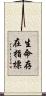 生命存在指標 Scroll