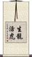生龍活虎 Scroll