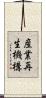 産業再生機構 Scroll