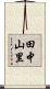 田中山里 Scroll