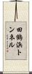 田鶴浜トンネル Scroll