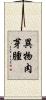 異物肉芽腫 Scroll