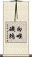 白喉磯鶇 Scroll