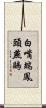 白嘴端鳳頭燕鷗 Scroll