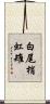 白尾梢虹雉 Scroll