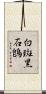 白斑黑石鵖 Scroll