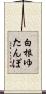 白根ゆたんぽ Scroll