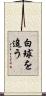 白球を追う Scroll