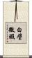 白璧微瑕 Scroll