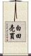 白田売買 Scroll