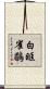 白眶雀鶥 Scroll