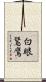 白眼鵟鷹 Scroll
