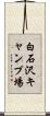 白石沢キャンプ場 Scroll