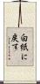 白紙に戻す Scroll