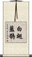 白翅藍鵲 Scroll