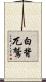 白背兀鷲 Scroll