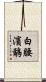 白腰濱鷸 Scroll