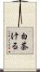 白茶ける Scroll