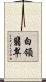 白領翡翠 Scroll