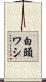 白頭ワシ Scroll