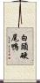 白頭硬尾鴨 Scroll