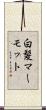 白髪マーモット Scroll