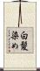 白髪染め Scroll