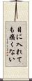 目に入れても痛くない Scroll
