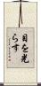 目を光らす Scroll