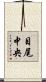 目尾中央 Scroll