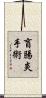 盲腸炎手術 Scroll