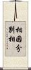 相因分別相 Scroll