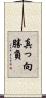 真っ向勝負 Scroll