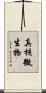 真核微生物 Scroll