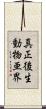 真正後生動物亜界 Scroll