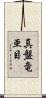 真盤竜亜目 Scroll