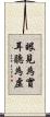 眼見為實，耳聽為虛 Scroll