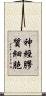 神經膠質細胞 Scroll