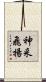 神采飛揚 Scroll