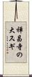 禅昌寺の大スギ Scroll