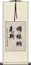 Mullinax Scroll