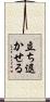 立ち退かせる Scroll