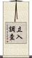 立入調査 Scroll