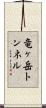 竜ヶ岳トンネル Scroll