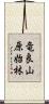 竜良山原始林 Scroll