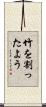 竹を割ったよう Scroll