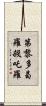第黎多曷羅殺吒羅 Scroll