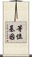 等位基因 Scroll