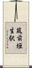 筑前垣生駅 Scroll