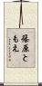 篠原ともえ Scroll